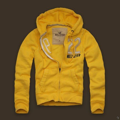 Moletom Hollister